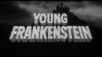 Young Frankenstein